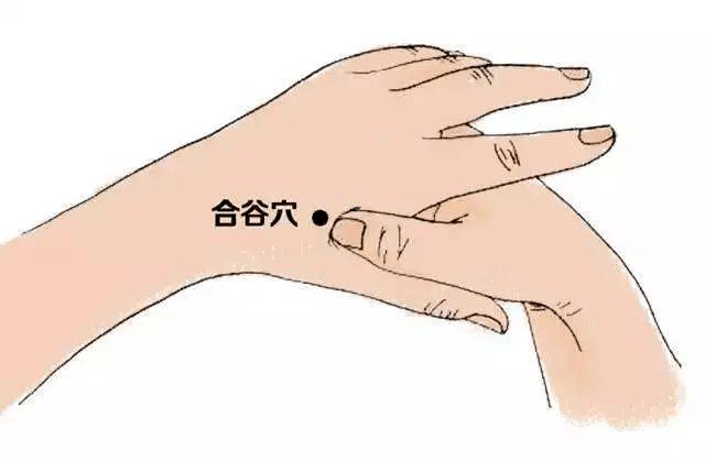 迎香穴的位置图片 2dd9d00e50e34c989d7a49a150333fc3.png