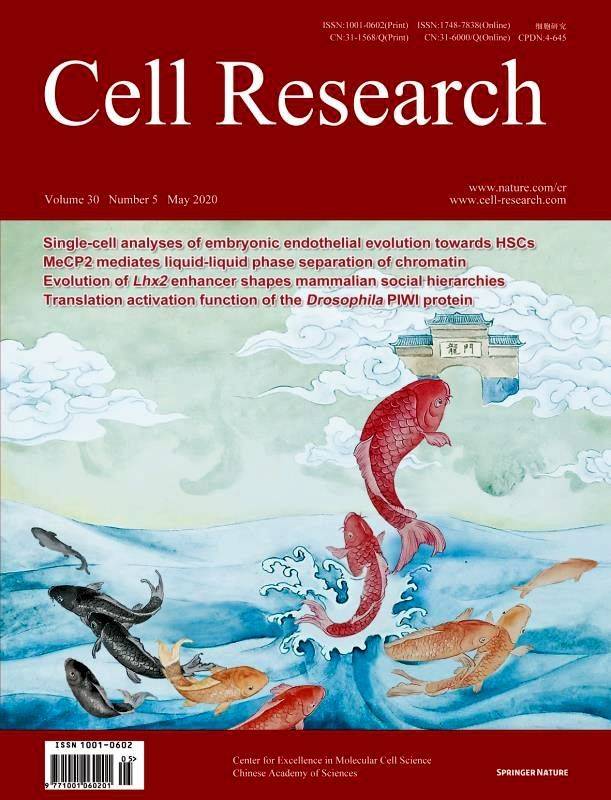 中国|这本中国学术期刊是如何站上国际“C”位的