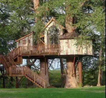 十二处童话树屋让人想飞