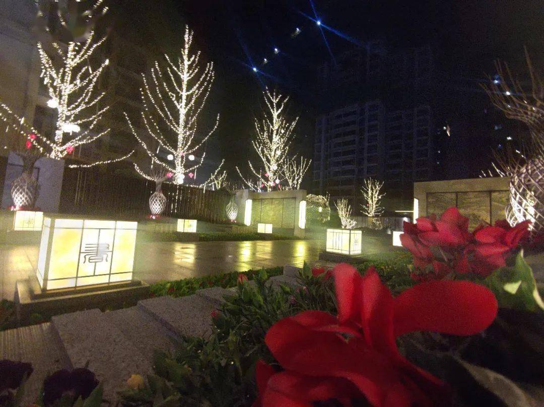 【太惊艳】大竹两个园林同时开放!_师名庭