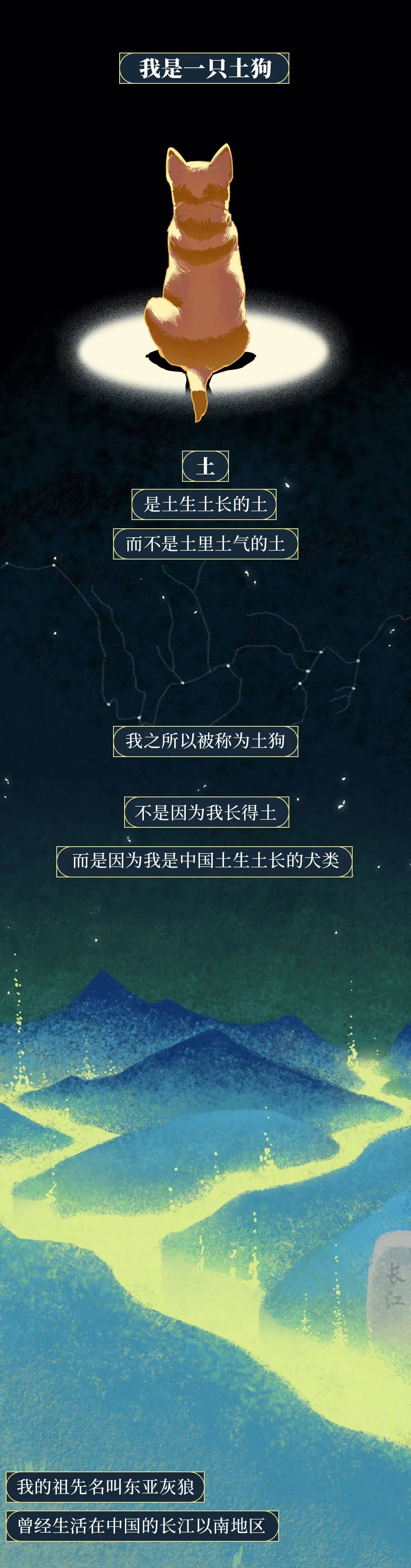 你憑什麼看不起中國土狗？ 萌趣萌寵 第1张