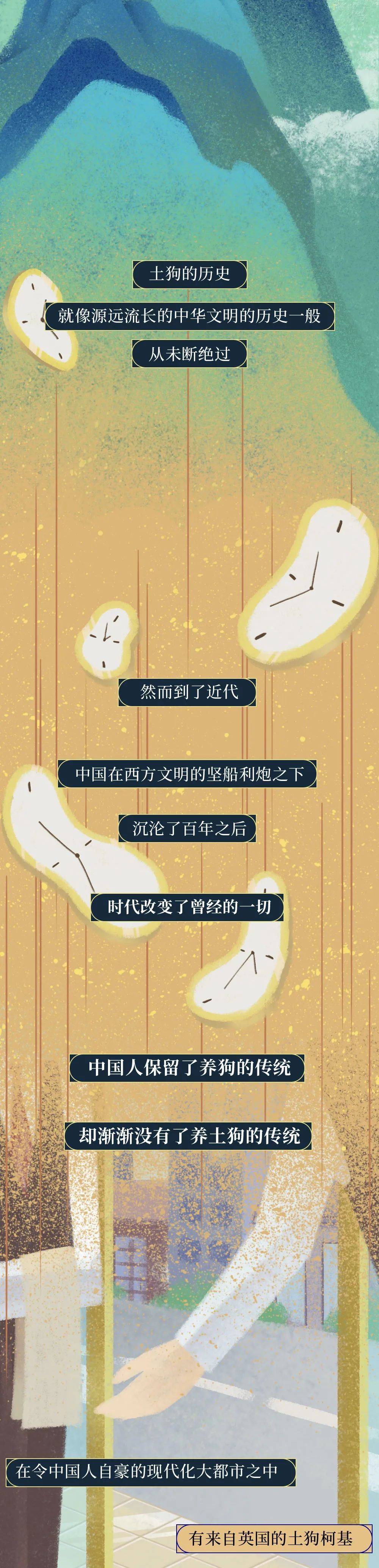 你憑什麼看不起中國土狗？ 萌趣萌寵 第7张