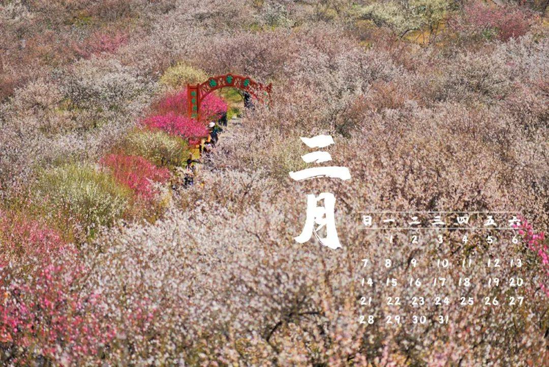 张张都是壁纸2021版太湖度假区定制日历