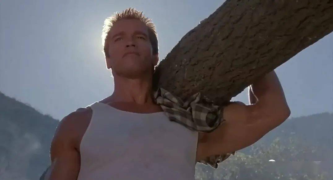 跟宇宙结婚_阿诺施瓦辛格