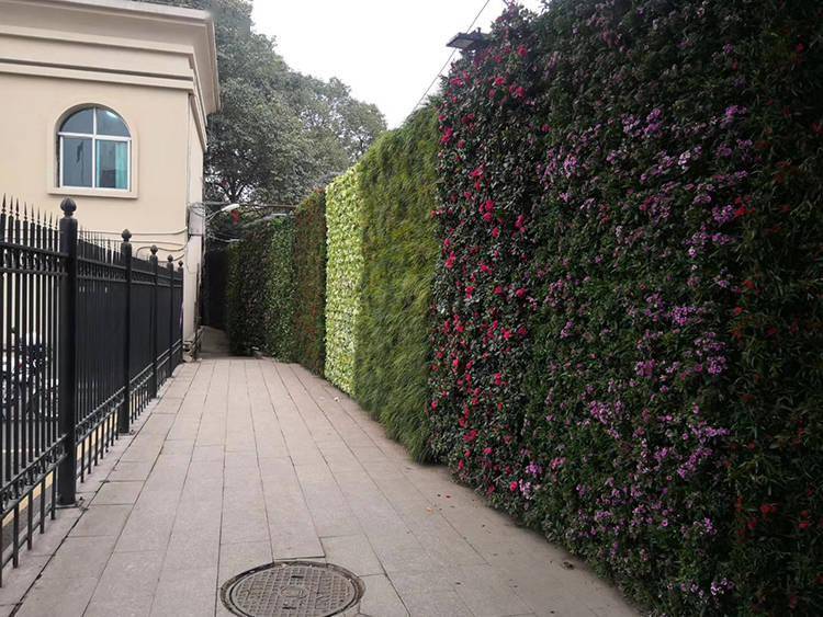 福建晋江模块式墙面绿化的应用与推广