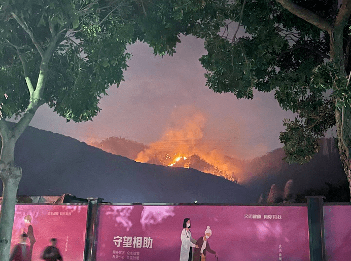关注| 深圳南山区大南山发生山火:明火已灭,正调查起火原因