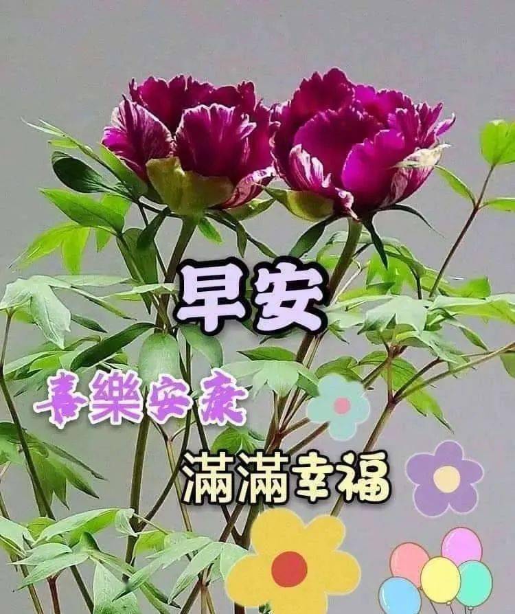 祝你早安简谱_祝你早安午安晚安视频(2)