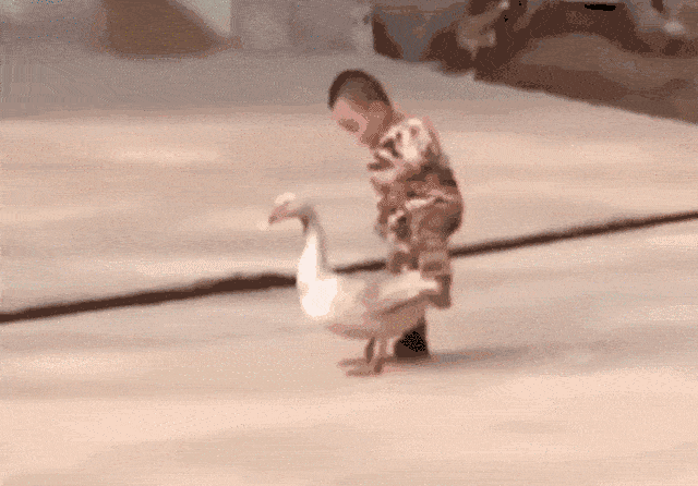 哈哈哈哈哈太过好笑这不合理啊