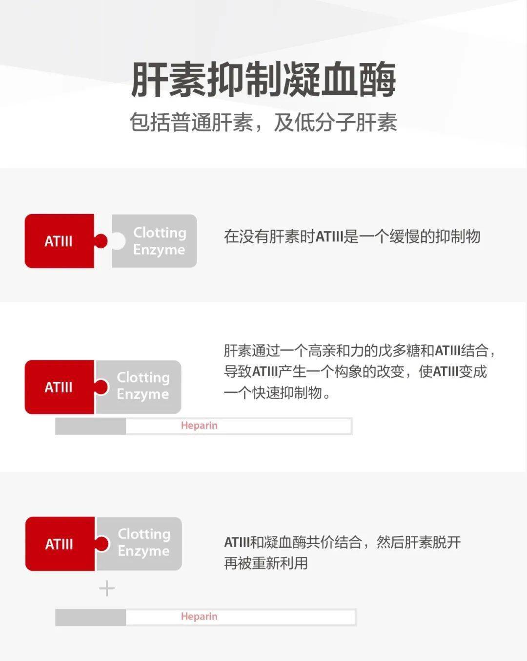 结合反应中心暴露出来,从而更易于和凝血酶等结合,使atiii的抗凝作用