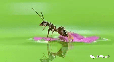 5163f6af94ff422298e38f11bb56c1e9.png