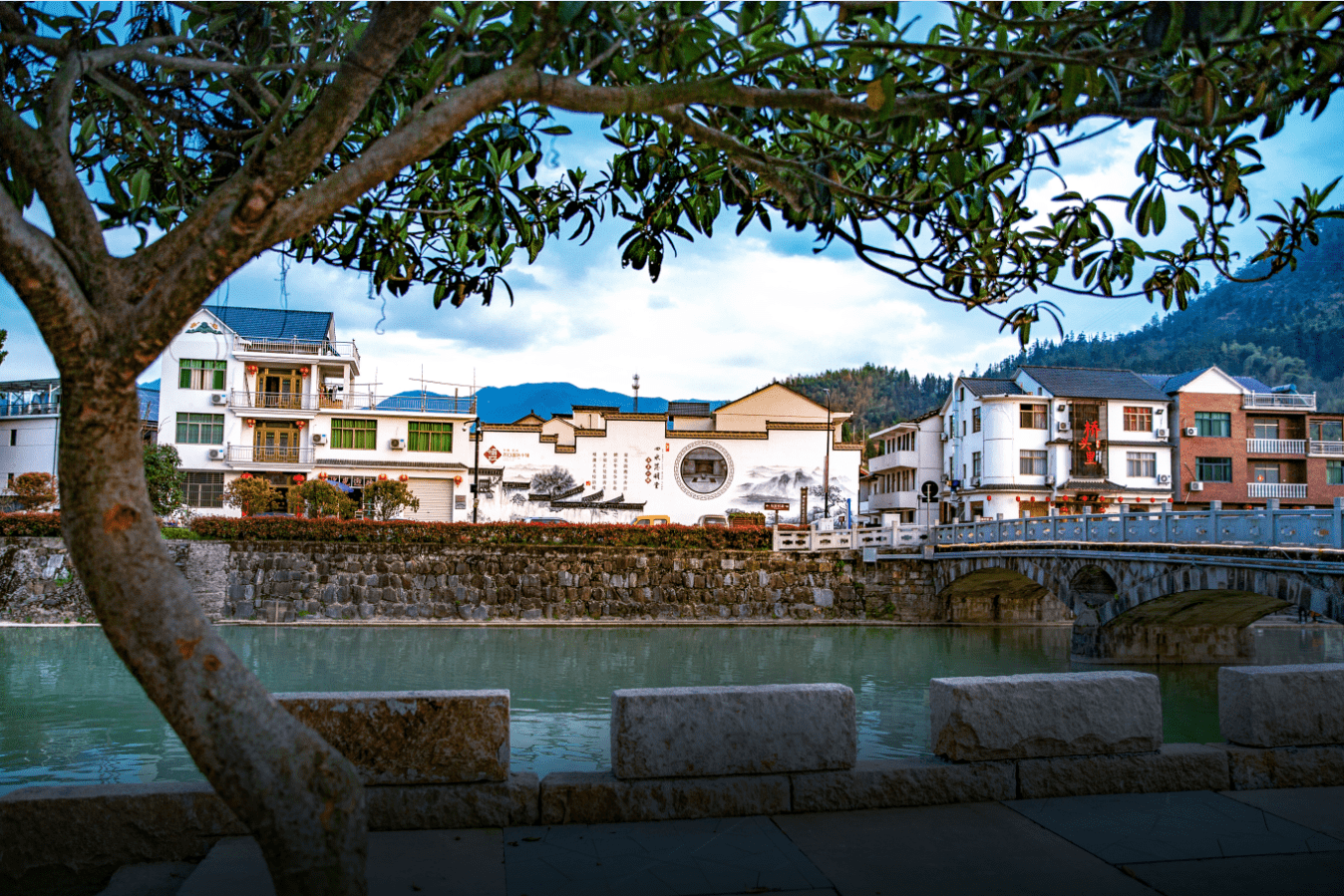 临安村庄经营是实现乡村振兴的有效路径