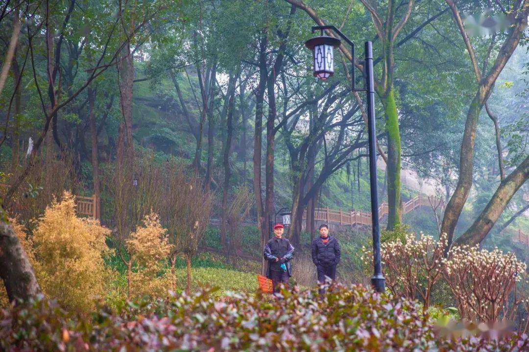 长寿凤山公园新妆归来!周末赶紧去打卡!_健身