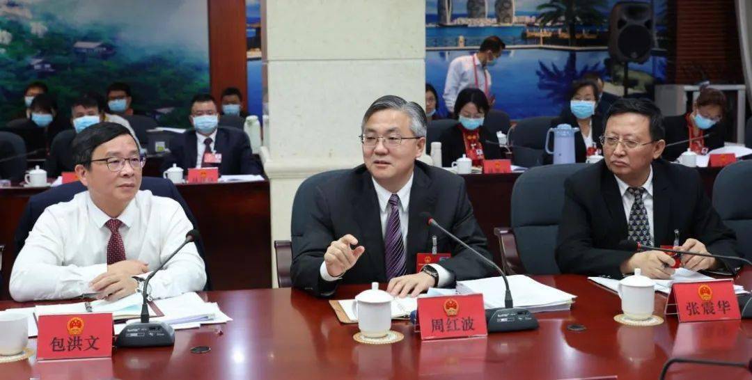 周红波,张震华,包洪文等参加审议.