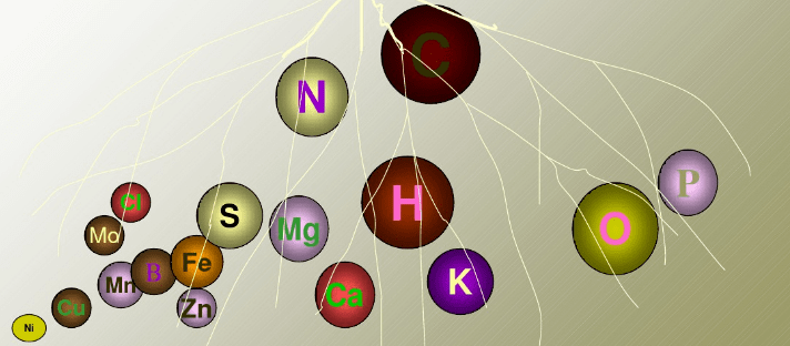植物營養基礎知識_化學元素