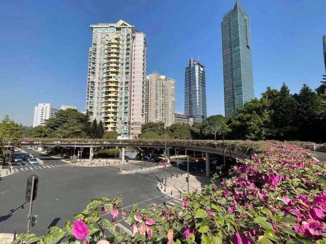 违规者三年不能买房!深圳住建局发文,严打这些行为_购房