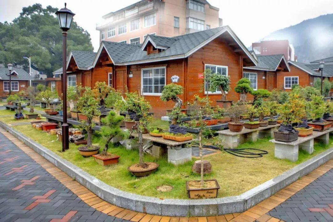 浙江省3a级景区村庄!三门这些村上榜,看看有没有你们村