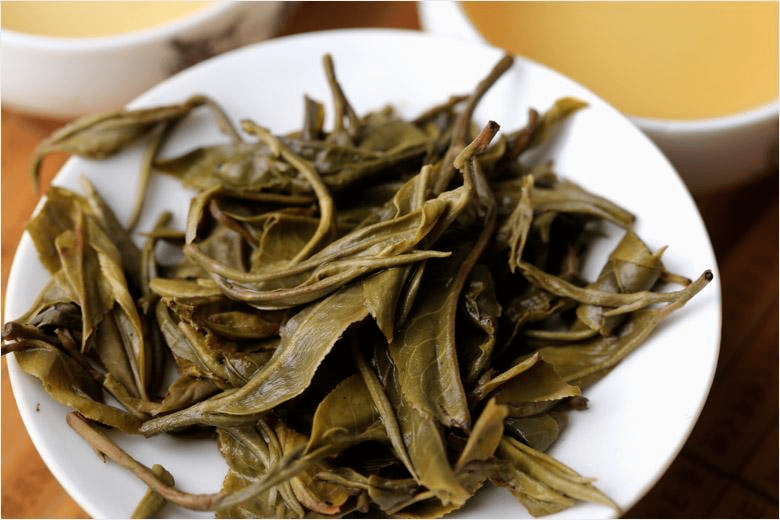 十大云南古树茶盘点(建议收藏)