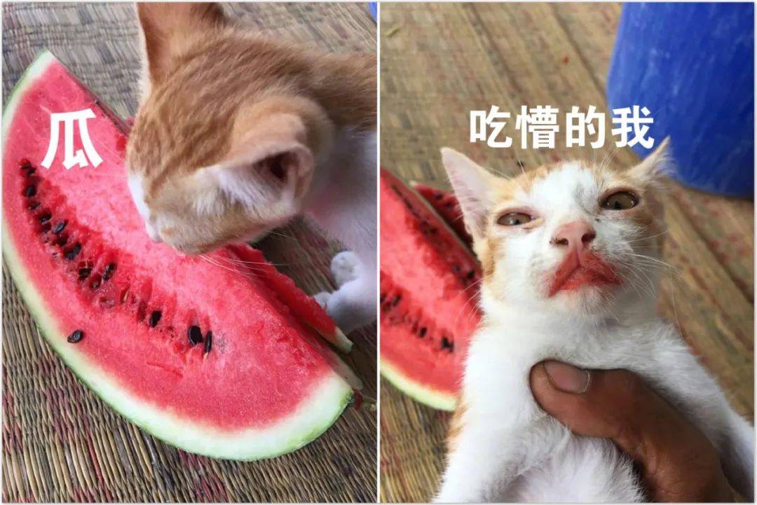 指不定又会爆出什么惊天大瓜!