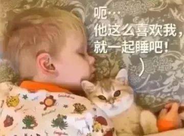 2ed6785e3e7948da8f2c99a60eae9c90.jpeg