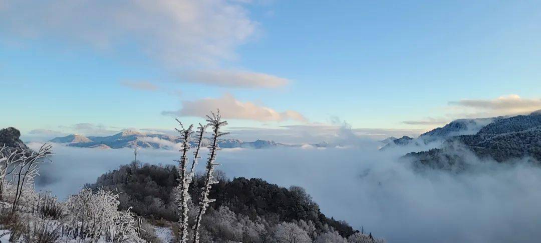 【惠游湖北】摄影作品丨神农架冬日雪景_丁苗苗