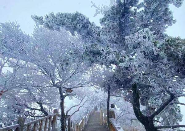 河南栾川老君山迎来瑞雪美景