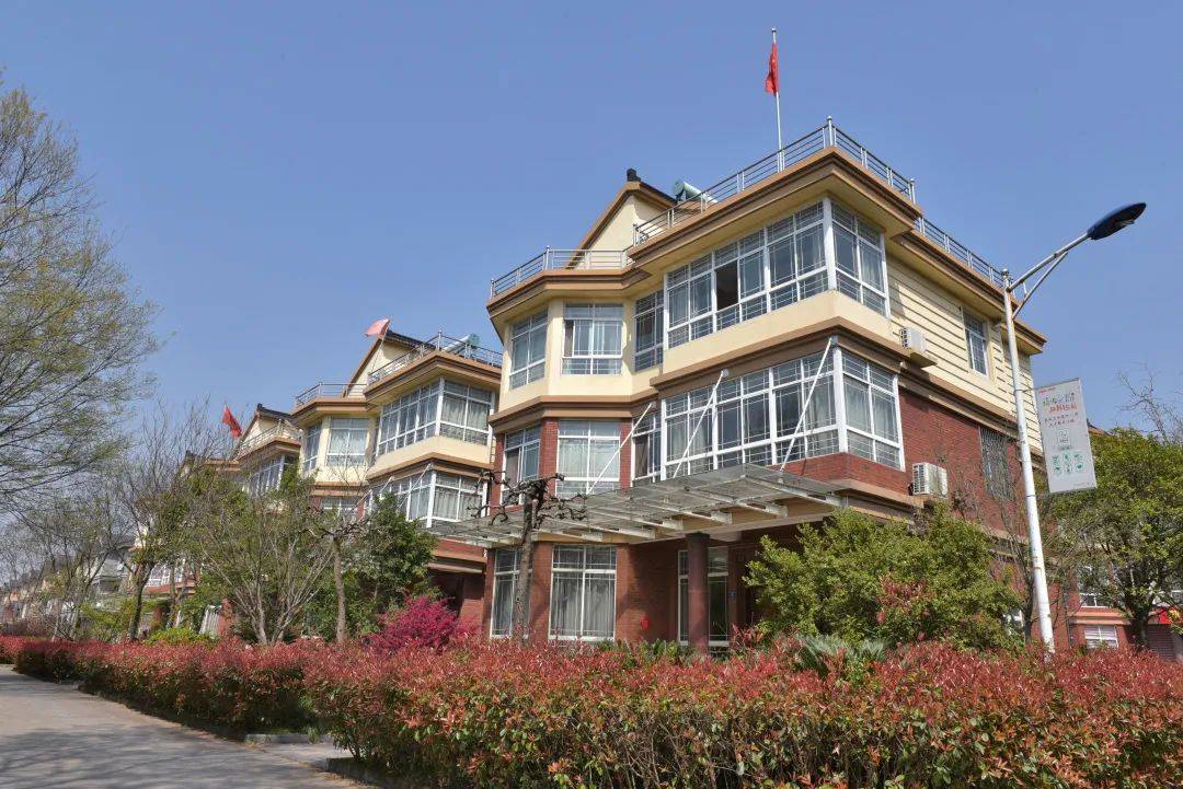 浙江农村能有多豪华