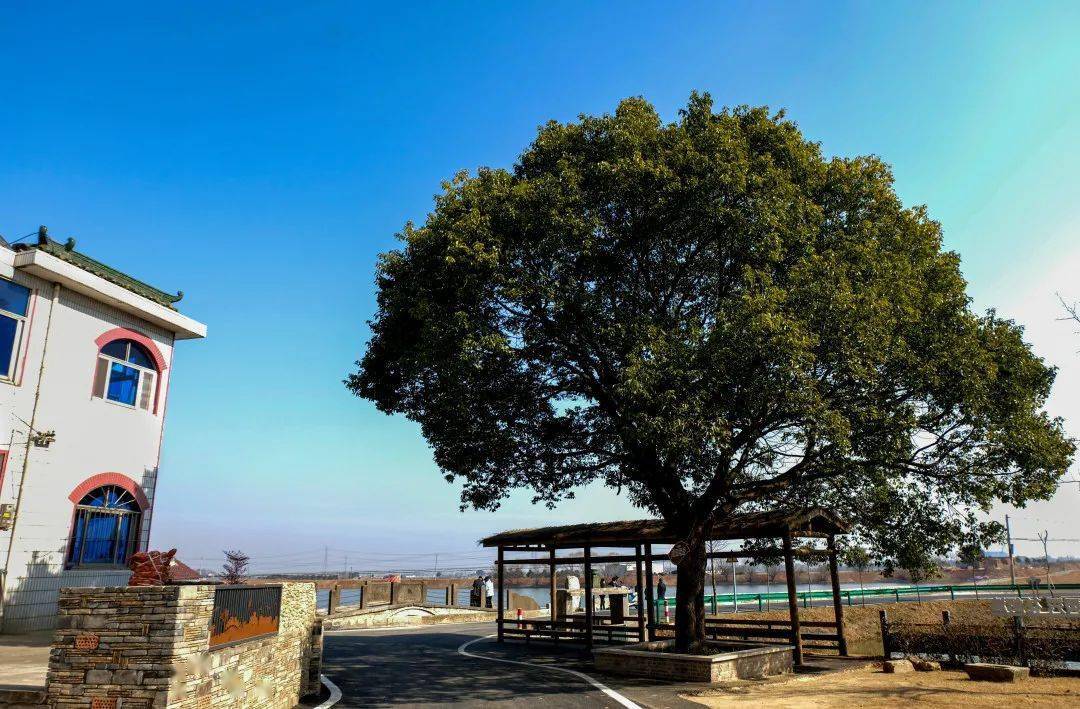 湾沚:"美善相乐"让文明永驻乡村_花桥