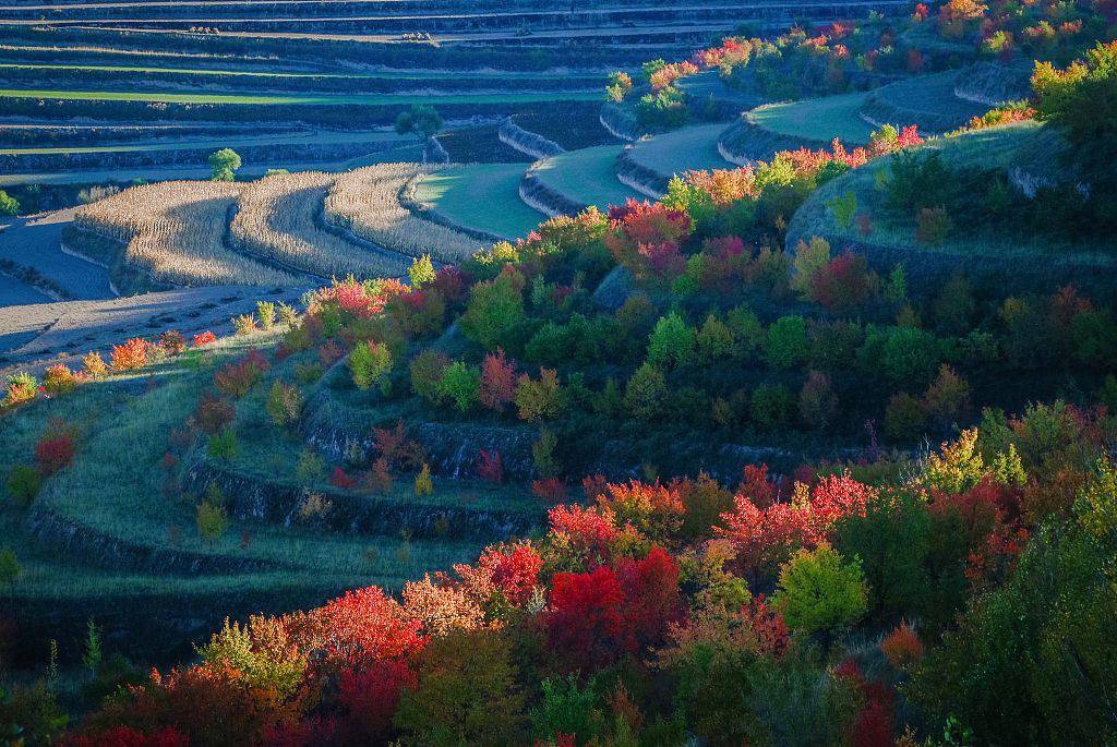 穿行河西走廊 甘肃之美不止莫高窟的灿烂辉煌