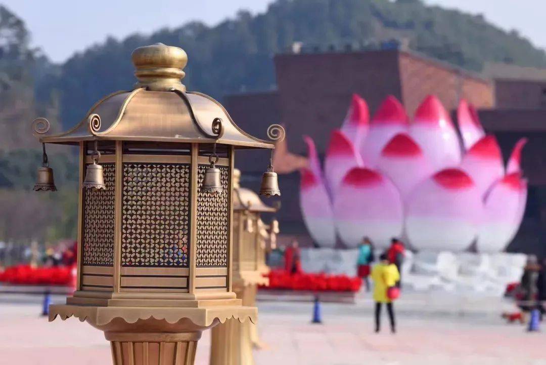 闲逛也是一种生活