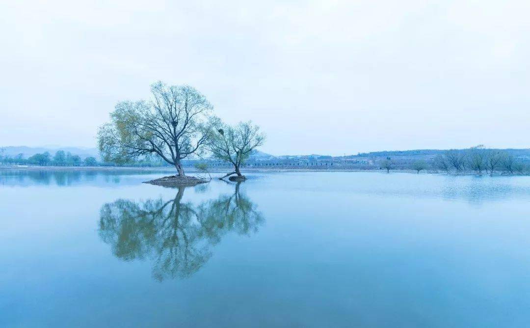 性情如梅,心态如兰_淡泊