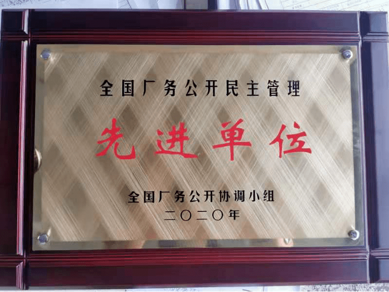 喜讯！闽光电气又获一殊荣！_集团