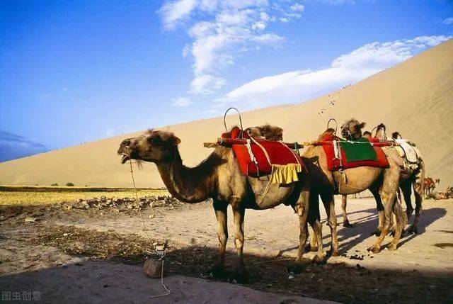 甘肃沙漠多少亩 9bf9f67bedde4559b2d1d7388e67578a.jpeg