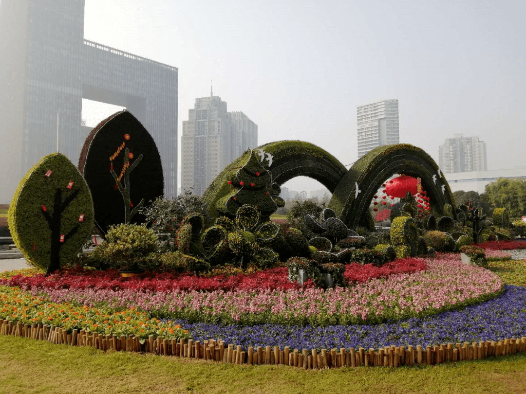 春节花坛花卉图片