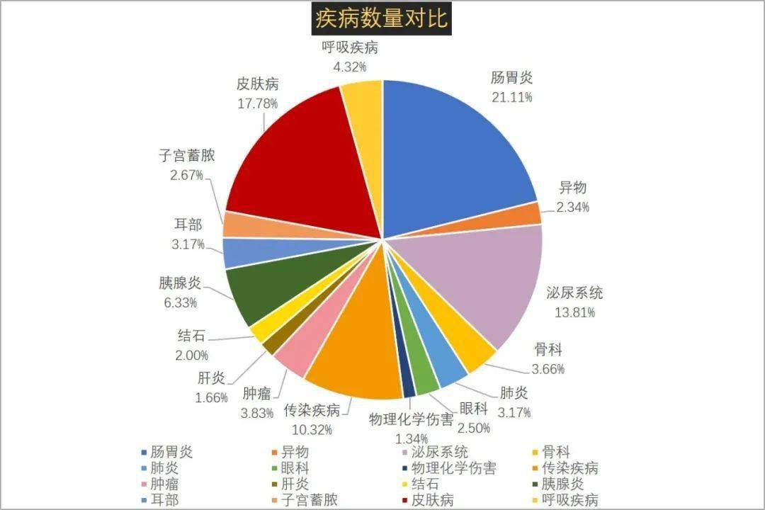 宠物健康风险离你很远?_疾病