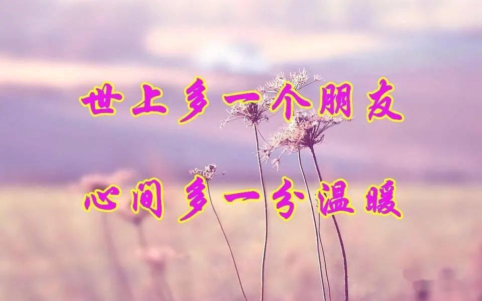 早上好,一曲《期待和你再相遇》太好听了,百听不厌!