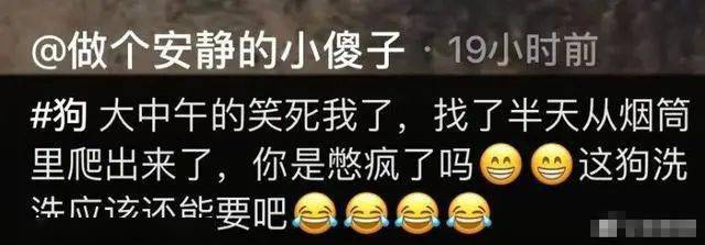 兄弟,你說一會兒王總來句我逗你玩呢,你尷