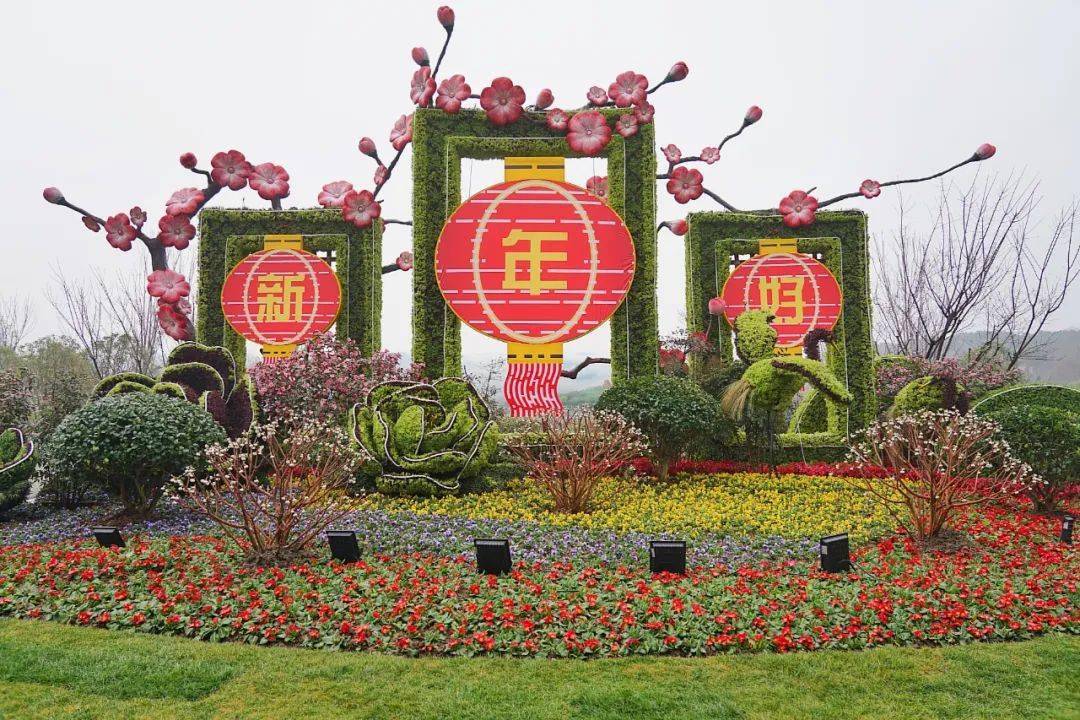 春节花坛花卉图片