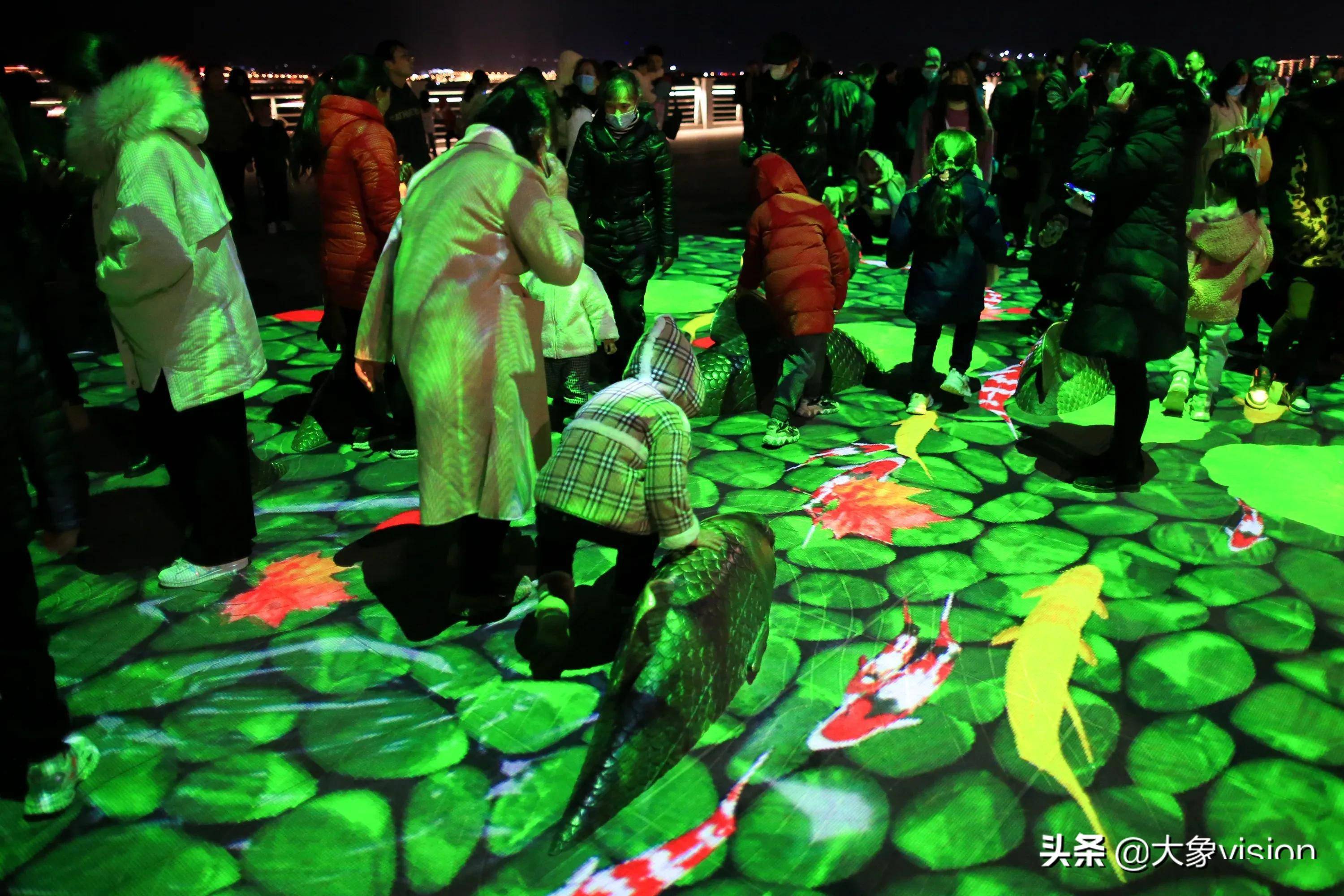 大锦鲤脚底游 来海埂大坝捉鱼啦_投影