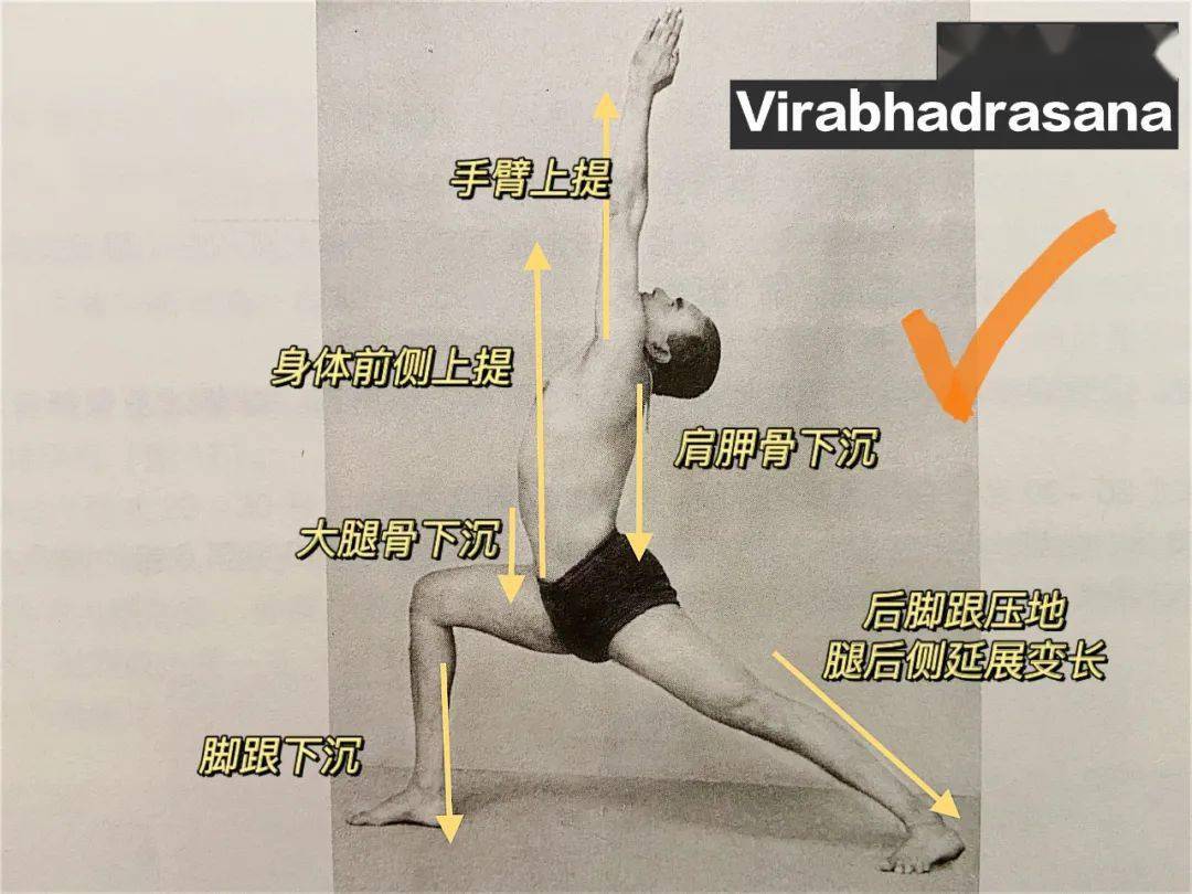 图解瑜伽体式 | 战士一式如何压稳脚跟