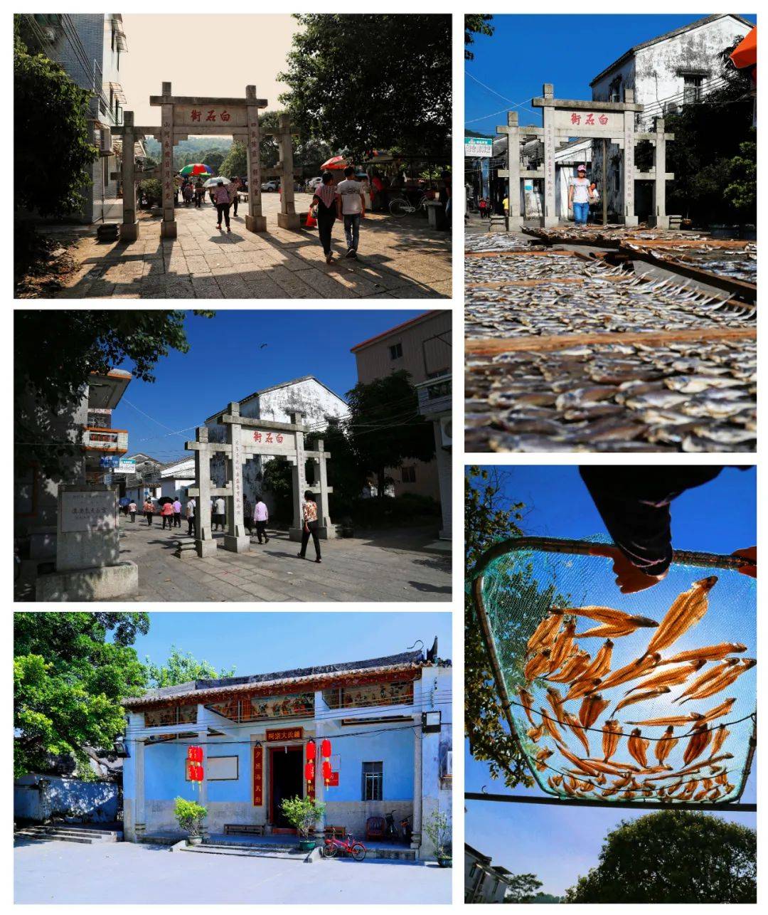 穿越百年,遇见诗情画意唐家湾_珠海