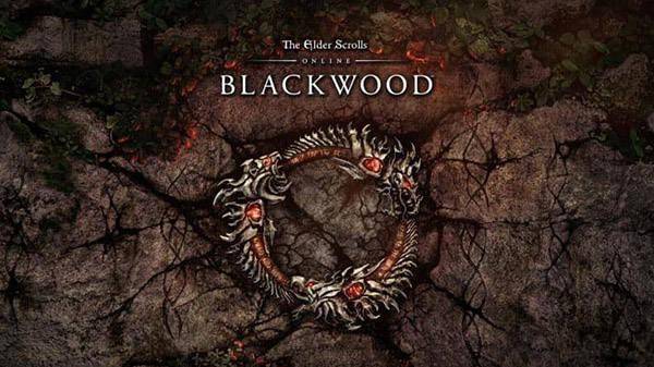 《上古卷轴OL》新章节“Blackwood”上架Steam