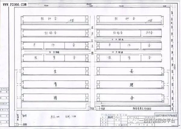 豬場設計時聽取執業獸醫的建議也許以後會少了好多麻煩