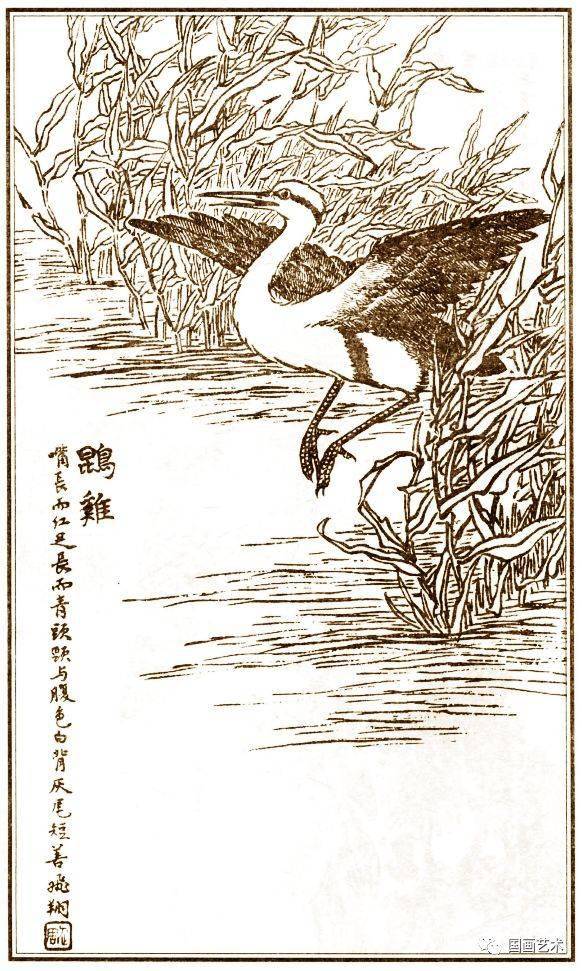 马骀画宝经典欣赏花鸟画谱1