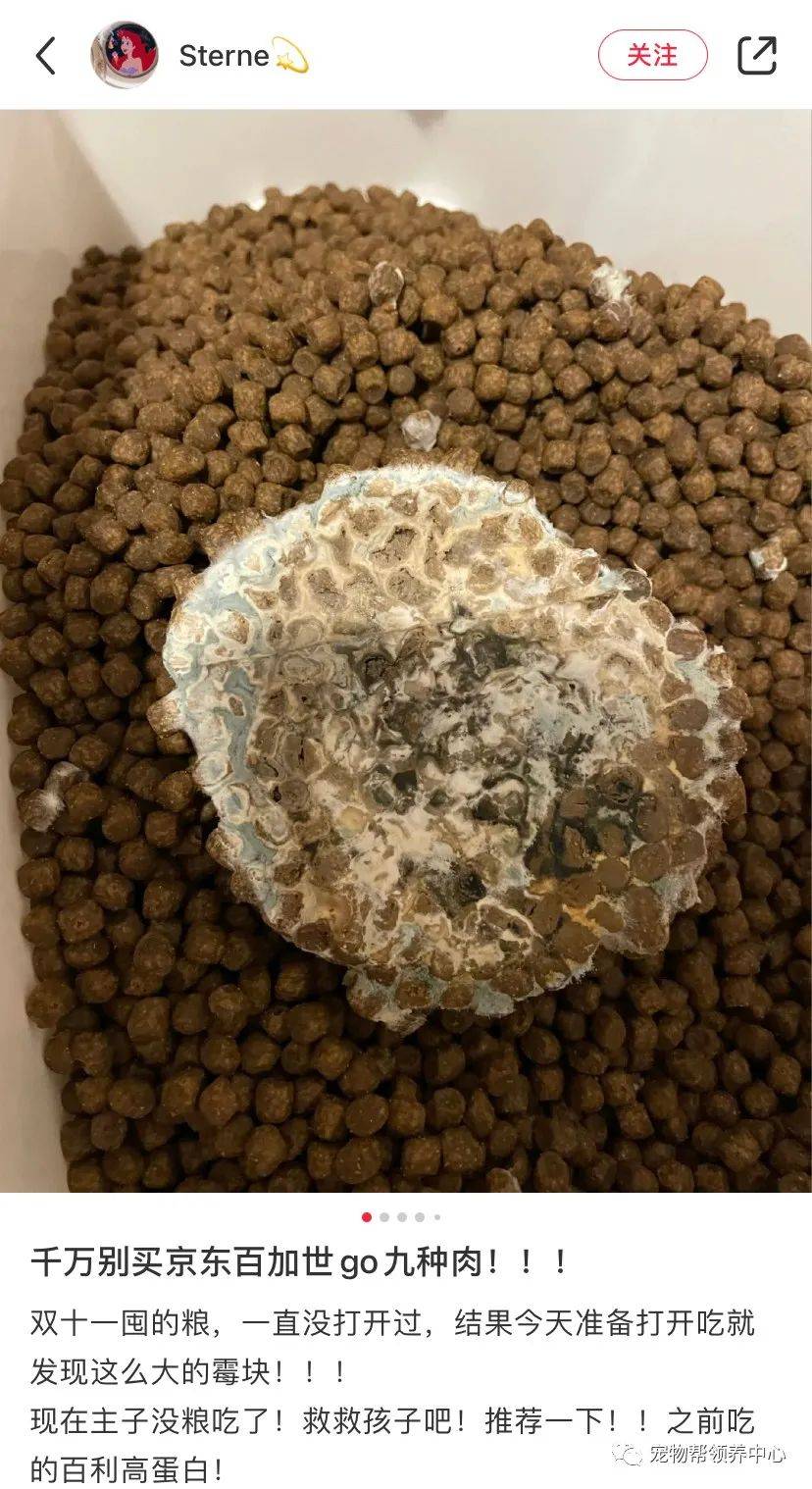 go猫粮变毒猫粮导致大量猫咪呕吐便血死亡