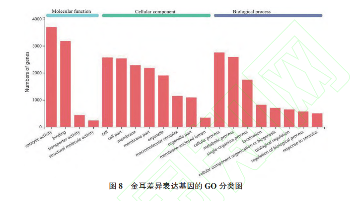 2021生物技术gdp_航拍琶洲粤港澳大湾区数字经济创新试验区