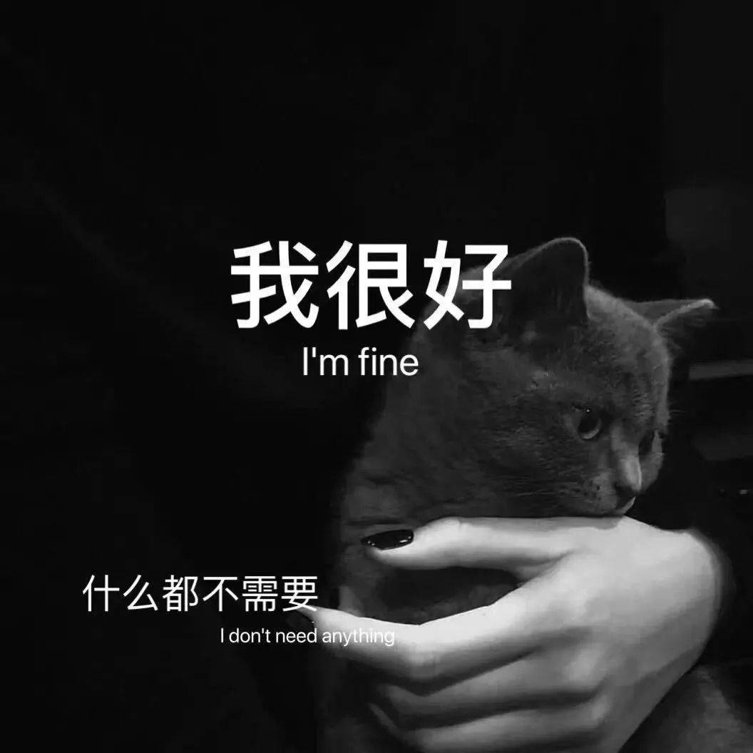 背景图别回头看身后万千灯盏并非归处
