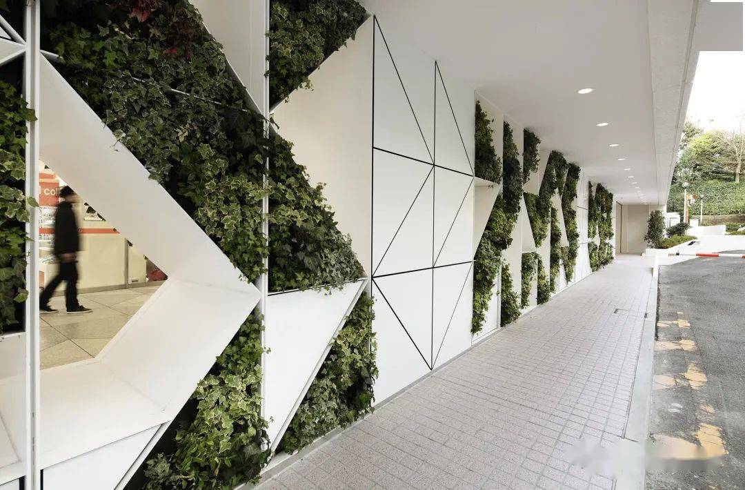 72 生活创意绿植背景墙可以是简单的几何拼搭,可以是创意的异性结构