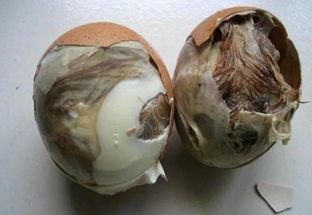 加上温度,湿度条件不好等原因,导致胚胎停止发育的蛋称死胎蛋