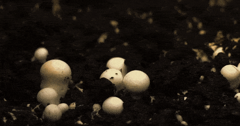 卫星告诉你真实的山海情到底什么样