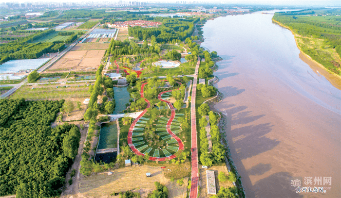 滨州黄河生态园图片